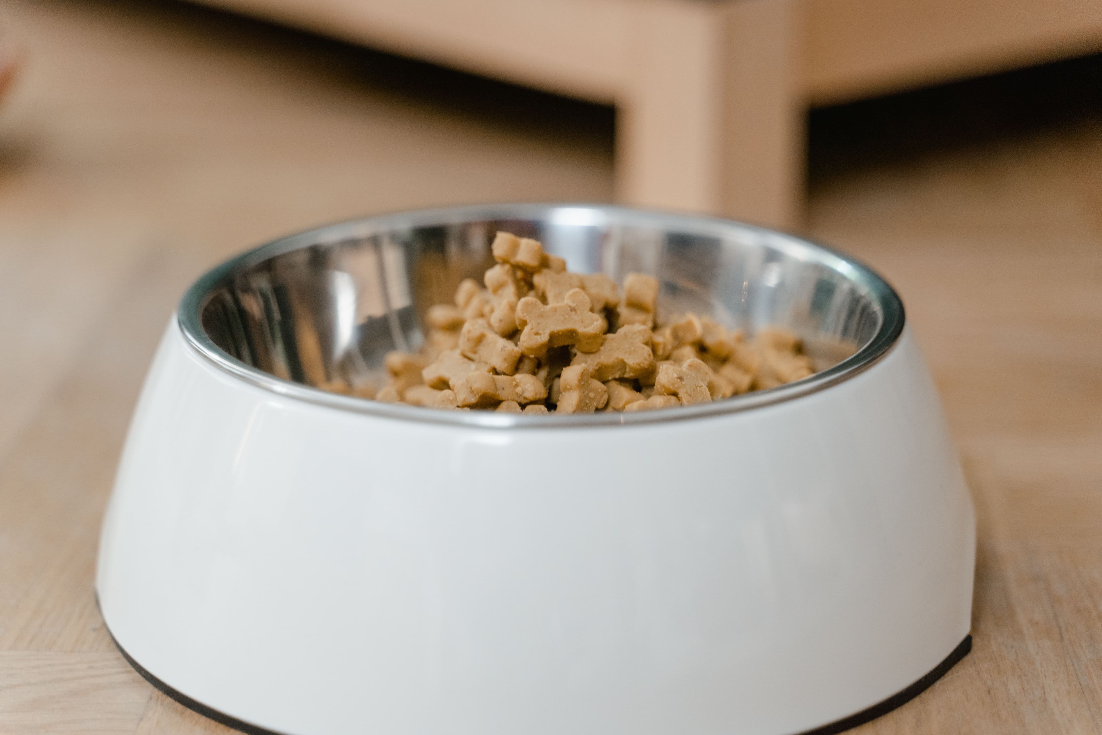 Cómo leer etiquetas de alimento para mascotas: 5 cifras clave